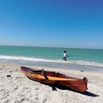article image - 